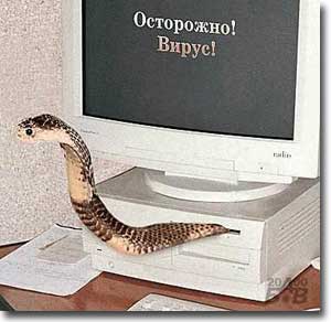 Сетевые черви